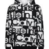 Bluza z kapturem dla chłopców z nadrukiem logo w tonacji kolorystycznej