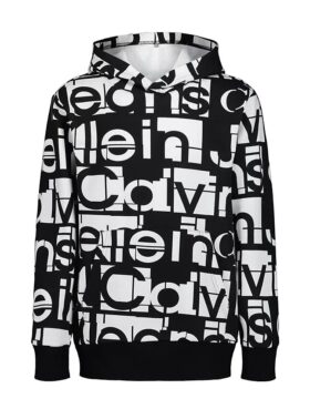 Bluza z kapturem dla chłopców z nadrukiem logo w tonacji kolorystycznej
