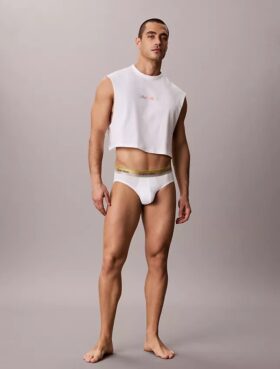 Bokserki Icon Cotton Stretch Pride Hip Brief