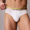 Bokserki Icon Cotton Stretch Pride Hip Brief