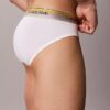 Bokserki Icon Cotton Stretch Pride Hip Brief