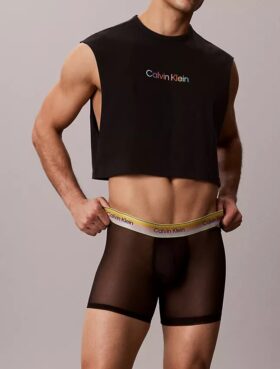 Bokserki Icon Mesh Pride Boxer Brief
