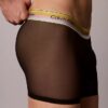 Bokserki Icon Mesh Pride Boxer Brief