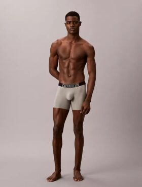 Bokserki Intense Power Motion Boxer Brief