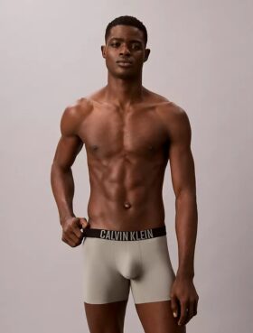 Bokserki Intense Power Motion Boxer Brief