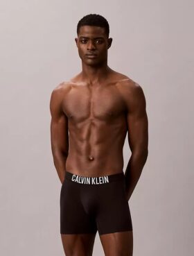 Bokserki Intense Power Motion Boxer Brief