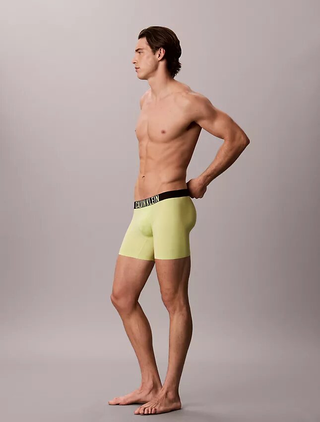 Bokserki Intense Power Motion Boxer Brief Bokserki Intense Power Motion Boxer Brief
