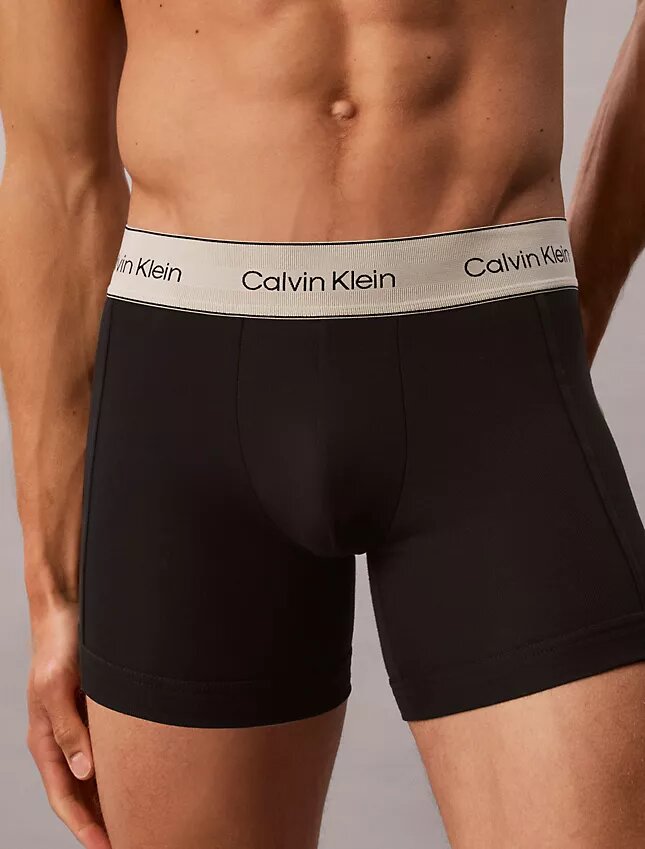Boxerki z elastycznej bawełny Cotton Stretch, opakowanie 3 sztuki Boxerki z elastycznej bawełny Cotton Stretch, opakowanie 3 sztuki