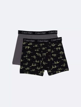 Chłopięce Bokserki Cotton Stretch 2-Pack Boxer Brief Chłopięce Bokserki Cotton Stretch 2-Pack Boxer Brief