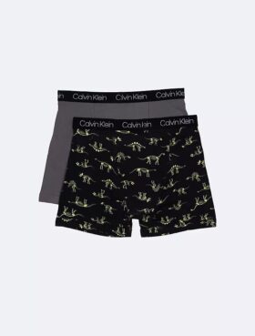 Chłopięce Bokserki Cotton Stretch 2-Pack Boxer Brief Chłopięce Bokserki Cotton Stretch 2-Pack Boxer Brief