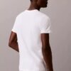 Cotton Classics 3-pak klasycznych T-shirtów z okrągłym dekoltem Cotton Classics 3-pak klasycznych T-shirtów z okrągłym dekoltem
