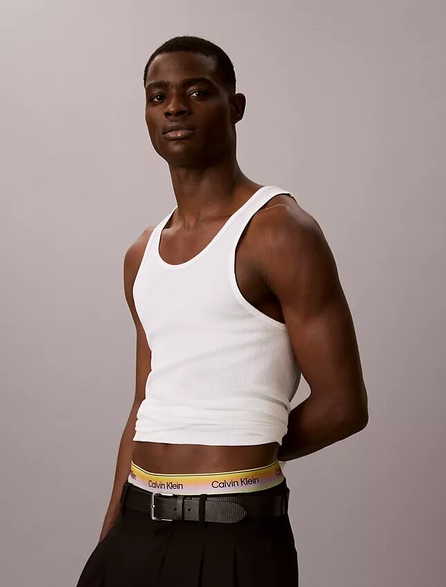 Elastyczne bokserki Cotton Stretch Pride Trunk Elastyczne bokserki Cotton Stretch Pride Trunk