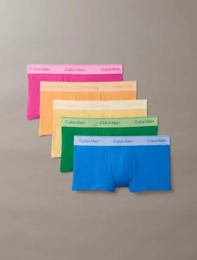 Icon Cotton Stretch Pride 5-pak Low Rise Trunk bokserki
