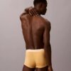 Icon Cotton Stretch Pride 5-pak Low Rise Trunk bokserki