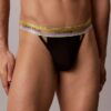 Icon Mesh Pride Thong