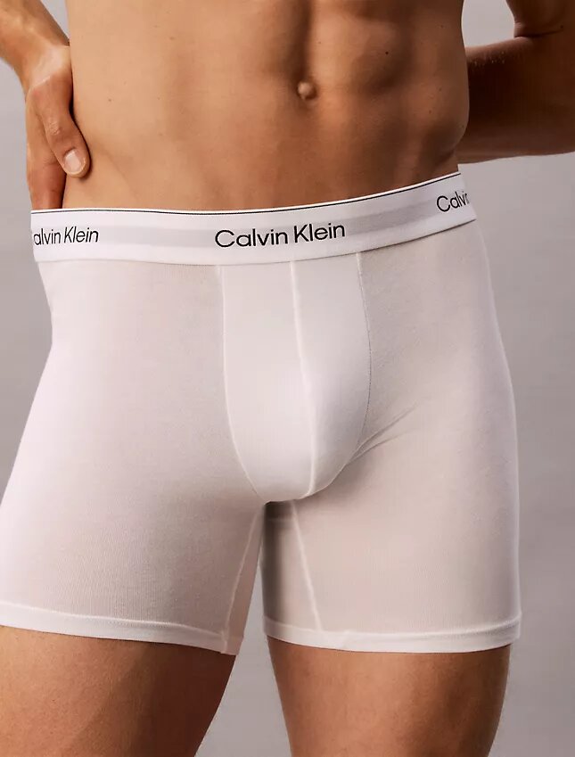 Ikoniczne Bokserki Cotton Stretch 3-Pack Boxer Brief Ikoniczne Bokserki Cotton Stretch 3-Pack Boxer Brief