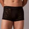 Korty z mikrofibry i koronki Low Rise Trunk Korty z mikrofibry i koronki Low Rise Trunk