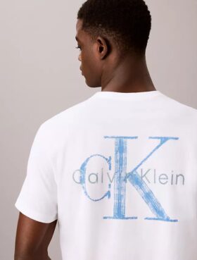 Koszulka z nadrukiem Brushstroke Monologo