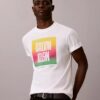 Koszulka z nadrukiem Pride Logo Block Easy Tee Koszulka z nadrukiem Pride Logo Block Easy Tee